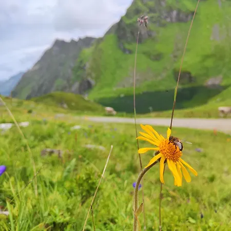 Salzgeber Nyaraló *