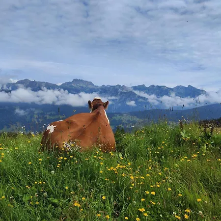 Nyaraló Salzgeber